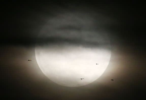 Birds fly past as a supermoon rises in the sky on Aug. 10, 2014 in Rio de Janeiro, Brazil.