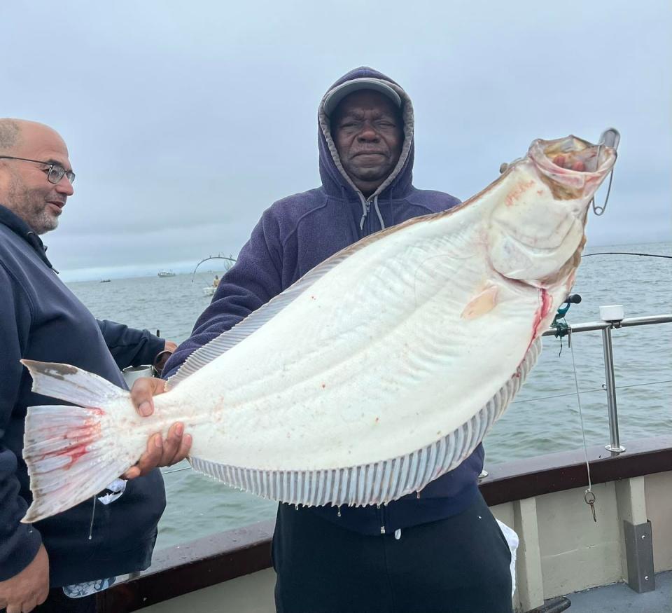 Willie White of Lodi bagged this 25 lb. halibut while drifting live anchovies in San Francisco Bay board the Lovely Martha on May 20.