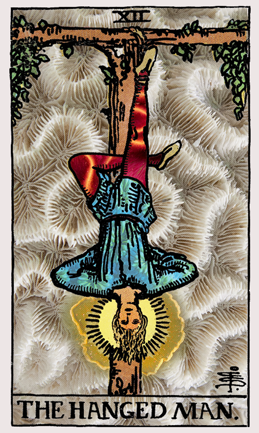 the hanged man tarot card