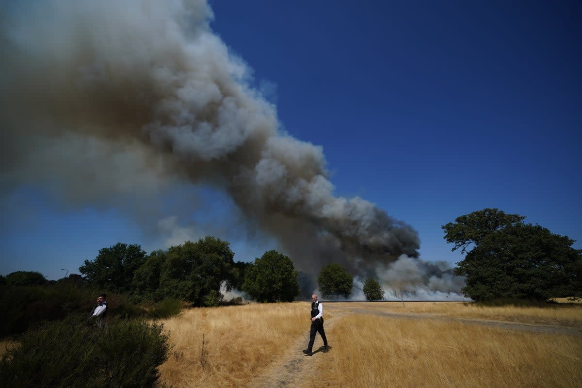 Police officers near the scene of a grass fire at the Leyton Flats nature reserve in east London (Yui Mok/PA) (PA Wire)