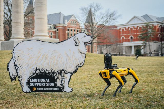 Harlan, the renowned canine who comforted Mizzou students, has died