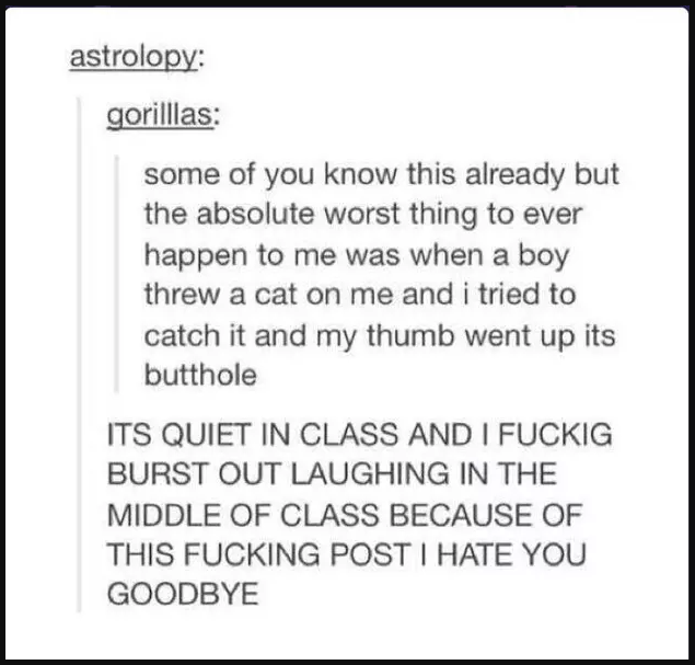 Text post sharing a humorous story about someone's thumb being bitten by a cat, causing laughter in class