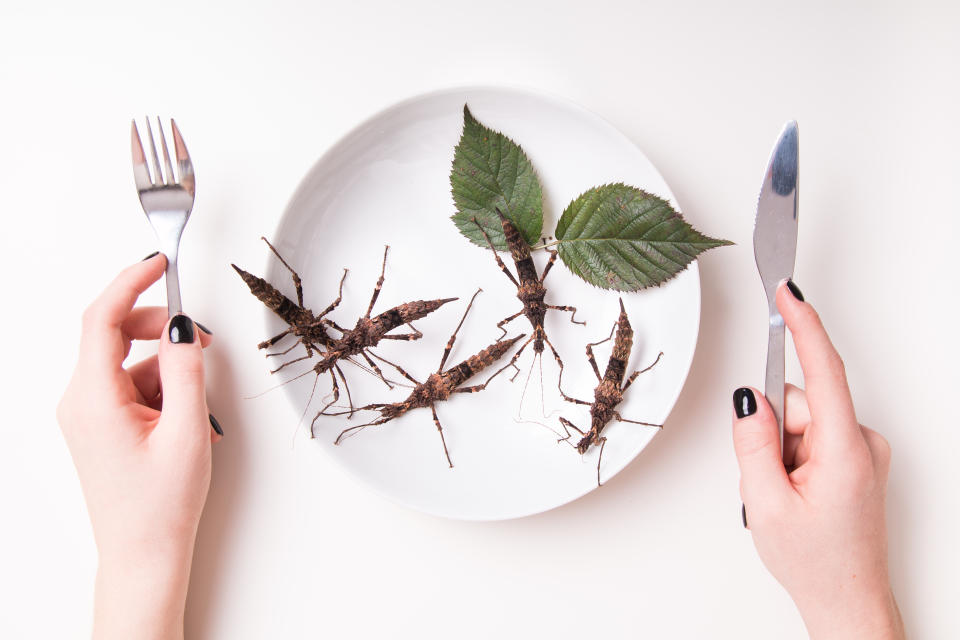 Dried cricket anyone? [Photo: Getty]