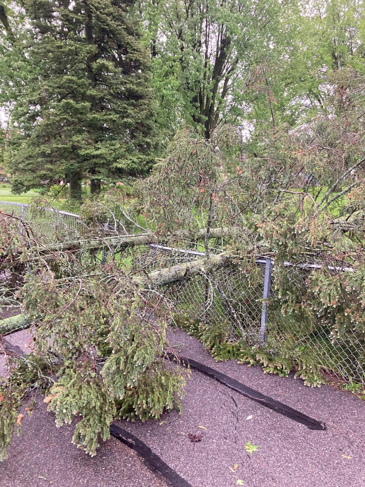 Multiple trees and branches are down in Hillside Cemetery in Marshfield  after storms moved through the area on Tuesday. The Parks and Recreation Department is asking people to avoid the area.