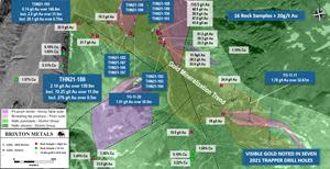 Trapper Gold Target, Geology, Drilling and Rock Geochemistry