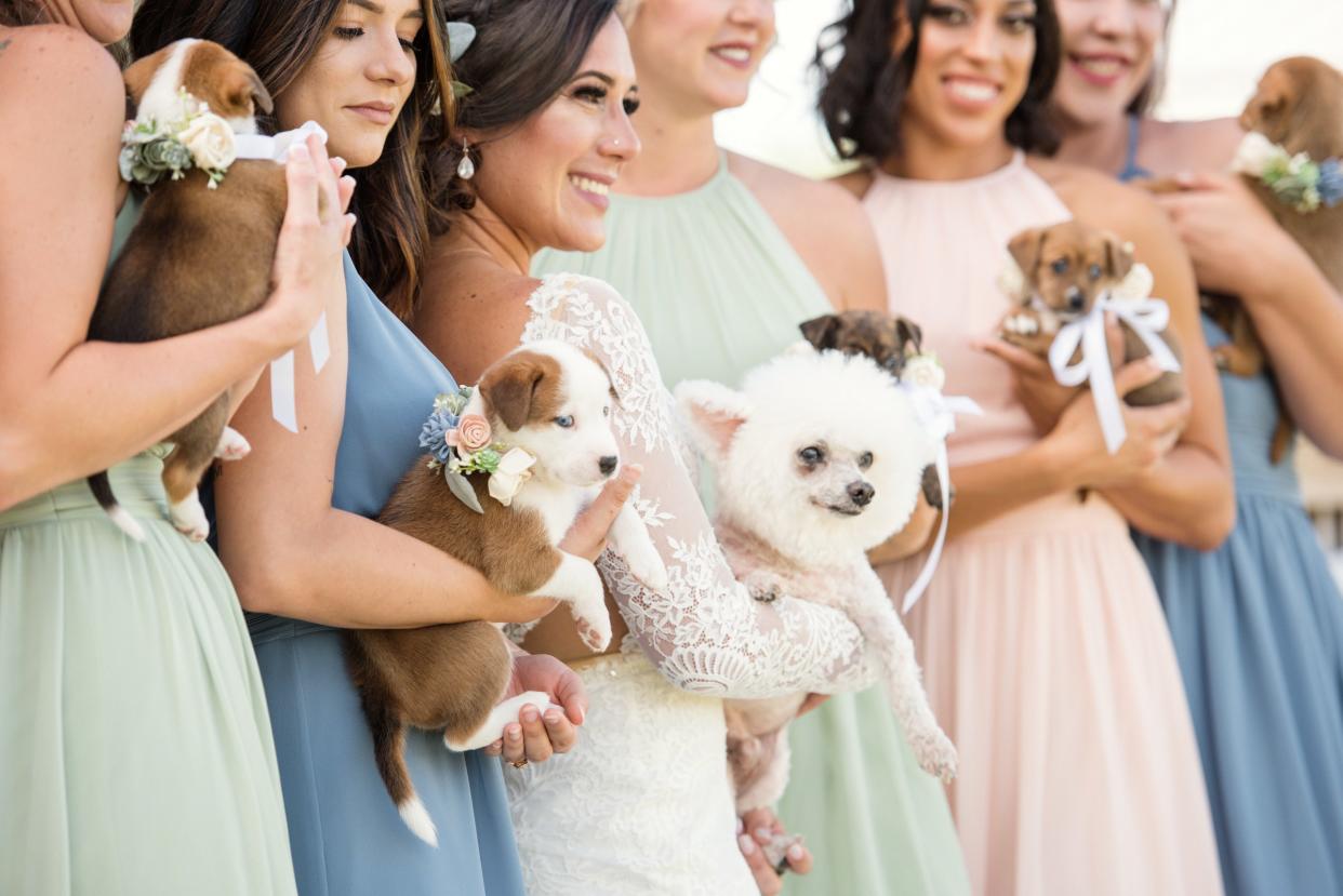 A Florida couple wed in a ceremony that included adorable puppies. (Photo: Cami Grudzinski/Cami Zi Photography)