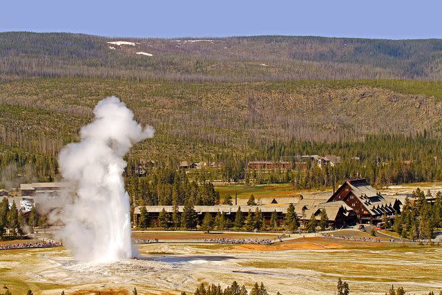 Courtesy of Yellowstone National Park Lodges