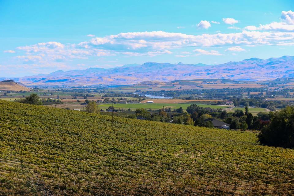 Snake River Wine Valley Idaho