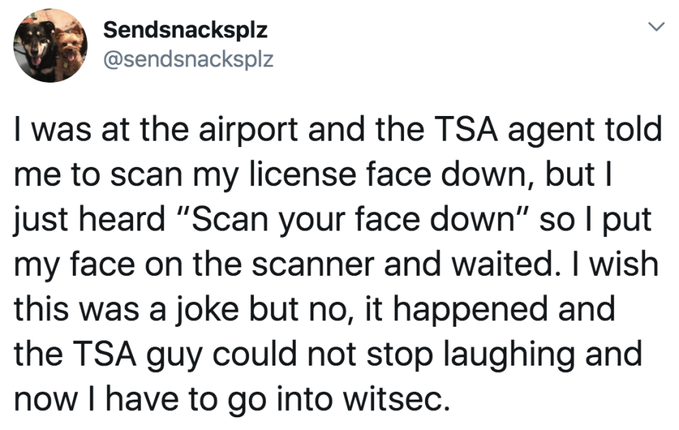 tweet reading i was at the airport and the tsa agent said scan your face down so i put my face on the scanner and waited