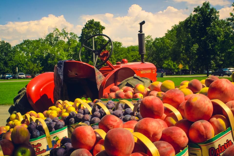 No estamos produciendo suficientes frutas y verduras / Pxhere.