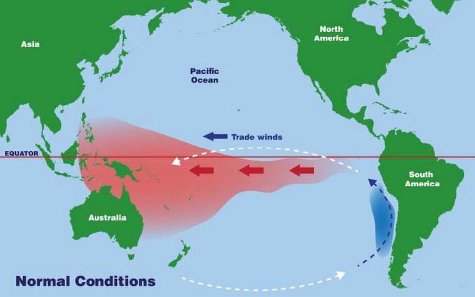 Under normal conditions, the Trade Winds at the equator push the surface waters of the Pacific toward Asia from South America. Warmer ocean water indicates an El Niño will likely develop later this year, flipping the wind direction and affecting U.S. weather this winter. National Oceanic and Atmospheric Administration