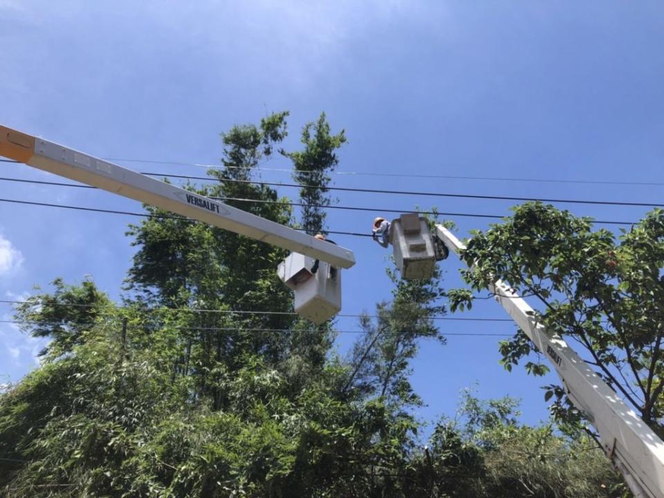 台電修剪樹木不慎，造成新竹縣市部分地區共四千三百四十七戶停電。（台電提供）