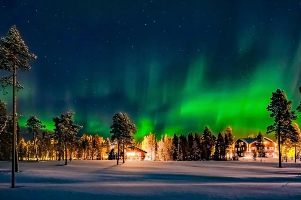 Lights over a forest near Levi in Finnish Lapland (Getty Images/iStockphoto)