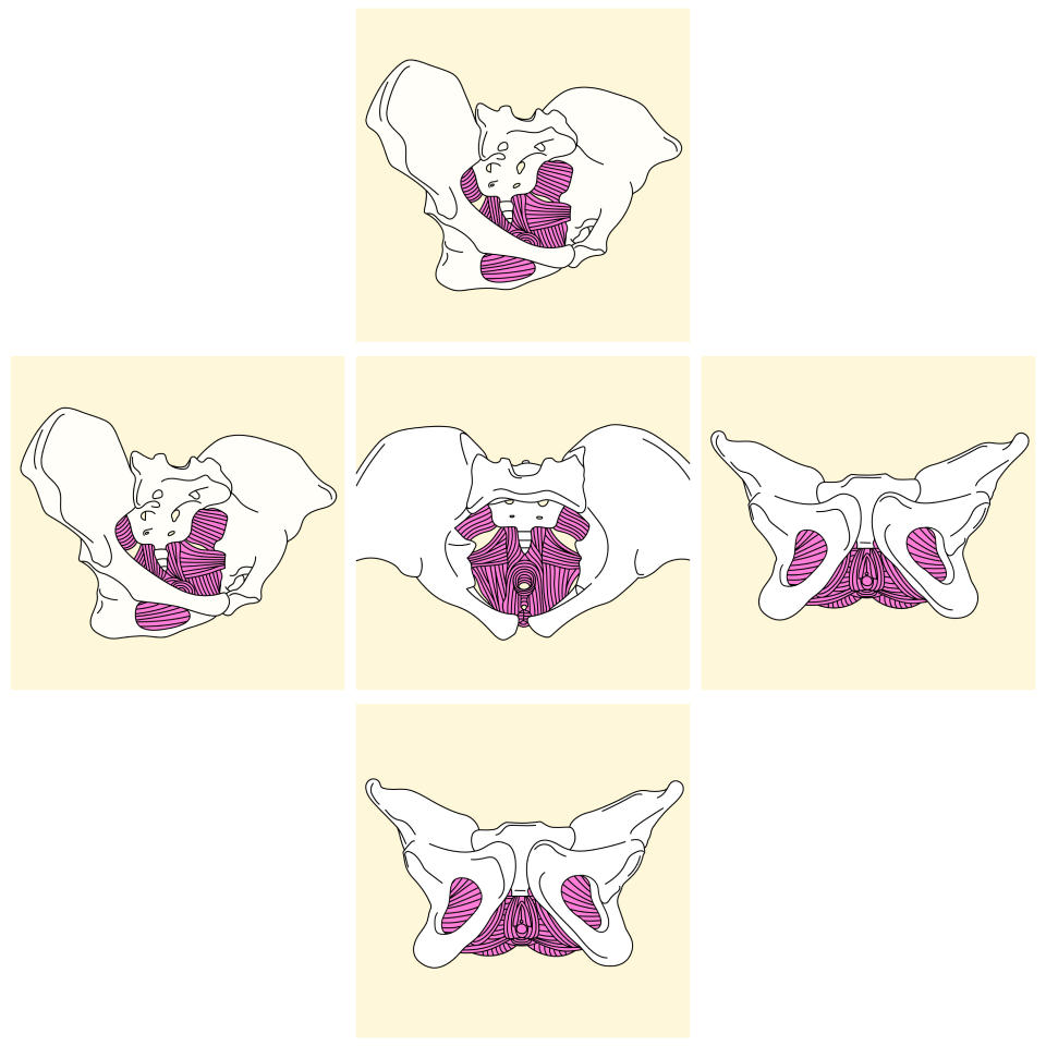 Demostración del knack perineal con sonido “shhh”, que consiste en levantar y apretar los músculos del suelo pélvico para tolerar la presión descendente dentro del abdomen, en un estudio en Portland, Oregón, el 12 de febrero de 2023. (Gritchelle Fallesgon/The New York Times).