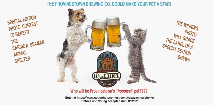 The contest poster for the 2022 Special Edition Provincetown Brewing Co. Pet Label Contest features a jubilant and likely unusual toast between a dog and a cat.