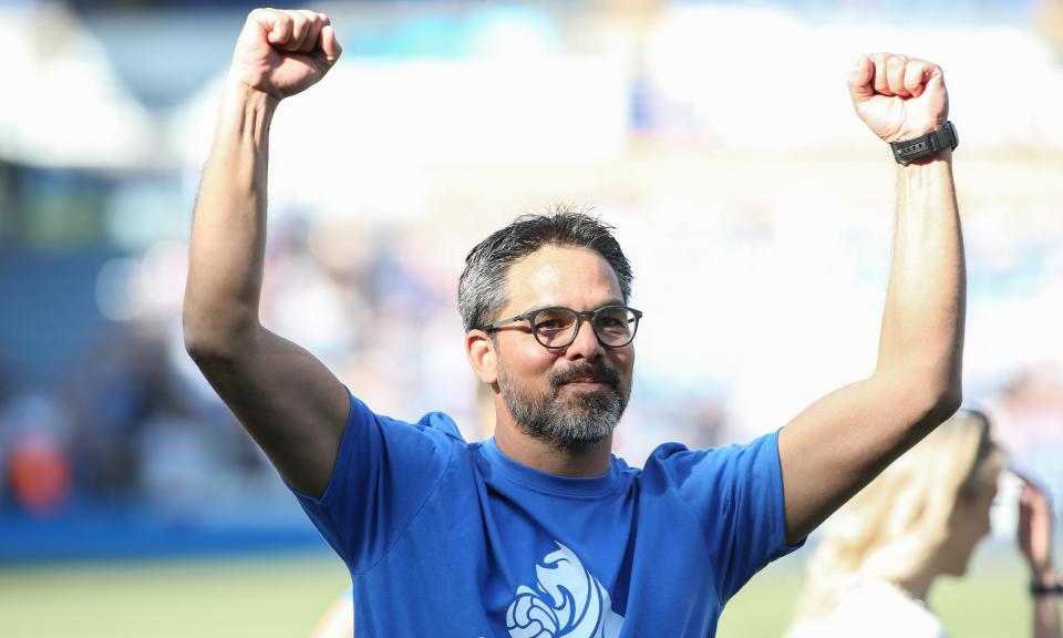 David Wagner took Huddersfield into the Premier League and kept them up against the odds.