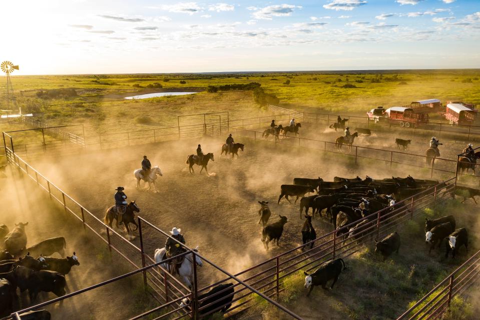 A nearby horse division is home to an over 48,000-square-foot arena, as well as several barns and stables.