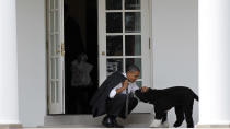 FILE - In this March 15, 2012 file photo, President Barack Obama pets the family dog Bo, a Portuguese water dog, outside the Oval Office of the White House in Washington. Former President Barack Obama’s dog, Bo, died Saturday, May 8, 2021, after a battle with cancer, the Obamas said on social media. (AP Photo/Pablo Martinez Monsivais, File)