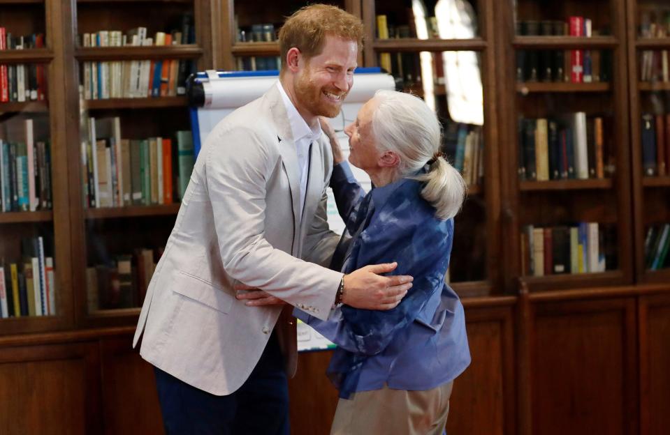 Dr. Goodall asked Harry if he remembered the “chimp greeting” from when they previously met. The royal then put on his best impression, approaching her as if he was a male chimp and she was a nervous female chimp. He then patted her on the head, encouraging her to embrace him in a hug! The duo also did a little impromptu dancing!