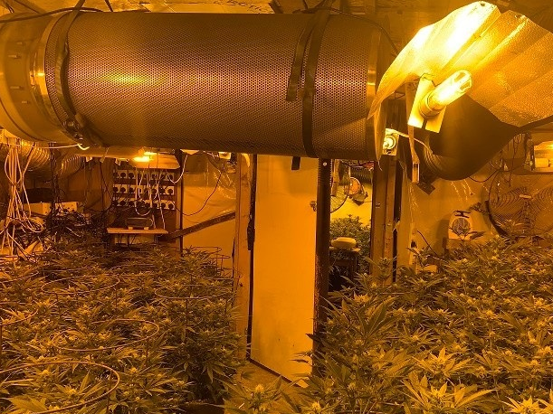 Cannabis factory discovered in underground bunker beneath Wolverhampton home