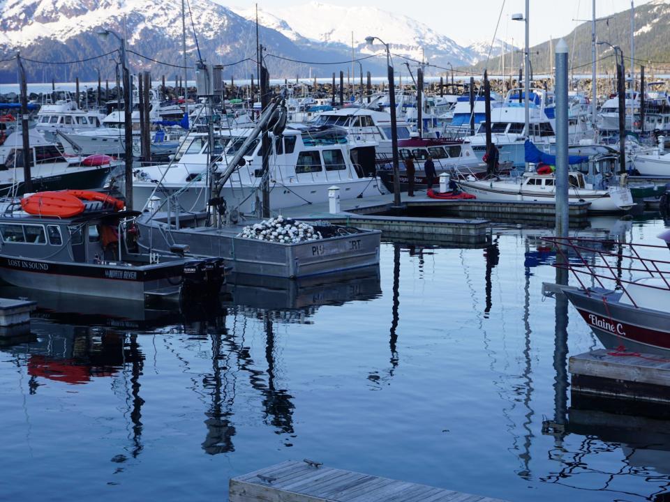 fishing boats in a harbor with snowy mountain in background