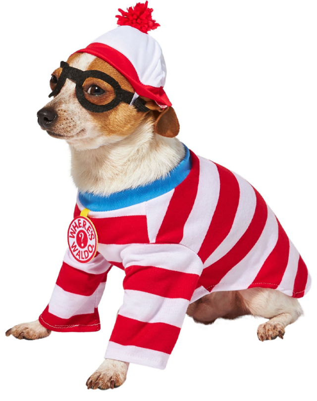 52 Funny Dog Halloween Costumes for the Silliest Pup You Know