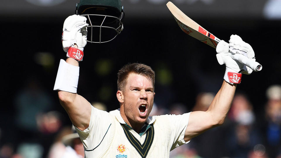 Pictured here, David Warner celebrates his historic triple century in Adelaide.