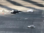 <p>A shoe is seen at the scene where a vehicle drove onto a sidewalk in Times Square in New York, U.S., May 18, 2017. (Daniel J. Bases/Reuters) </p>