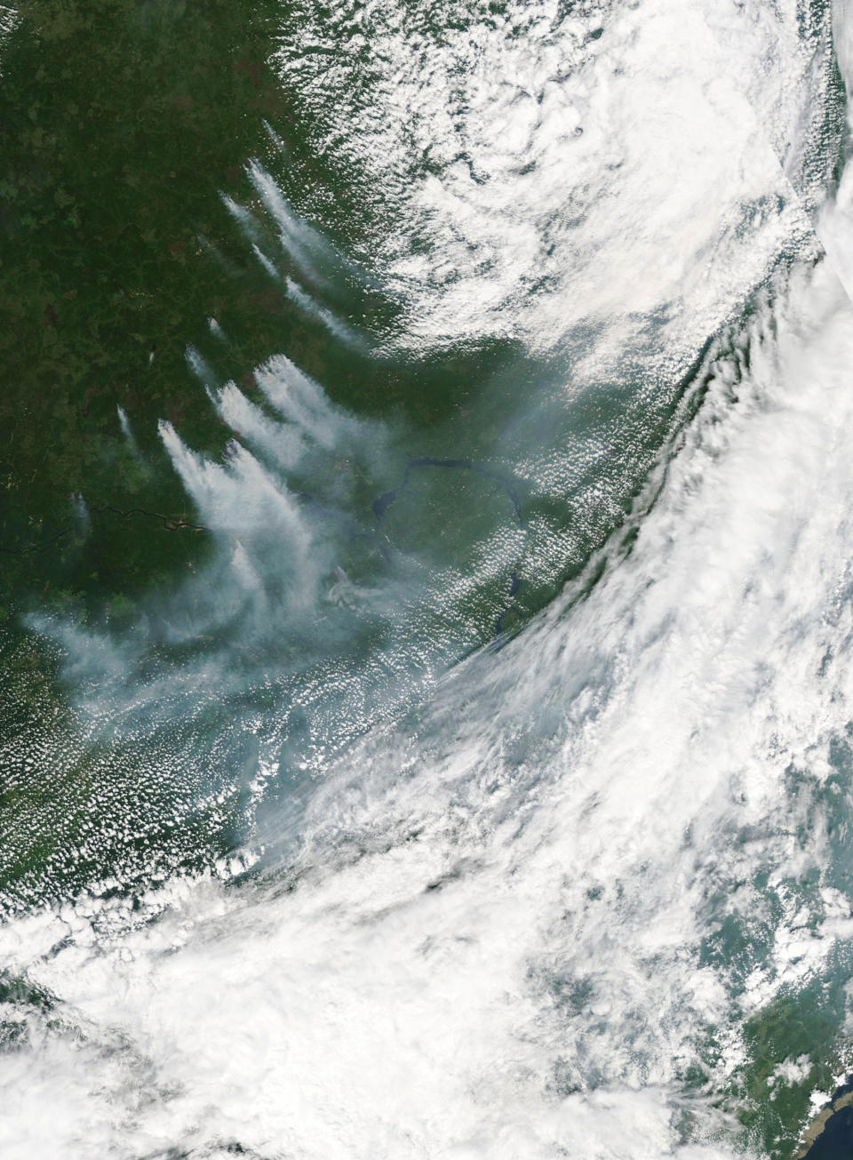 This July 12, 2019 natural-color image acquired by the Moderate Resolution Imaging Spectroradiometer (MODIS) on the Aqua satellite and provided by NASA, shows thick plumes of smoke, left center, rising from dozens of large forest fires in north-central Russia, a remote part of Krasnoyarsk Krai. The Russian military on Wednesday, July 31, 2019, joined efforts to fight forest fires that have engulfed nearly 30,000 square kilometers (11,580 sq. miles) of territory in Siberia and the Russian Far East — an area the size of Belgium. (NASA via AP)