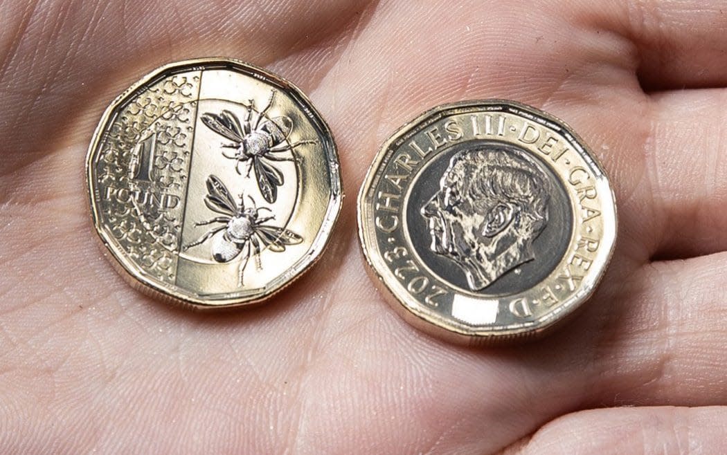 £1 coin bearing the King's official coin portrait and pair of bees