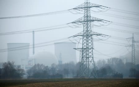 FILE PHOTO: General view of the nuclear power plant in Biblis near Frankfurt