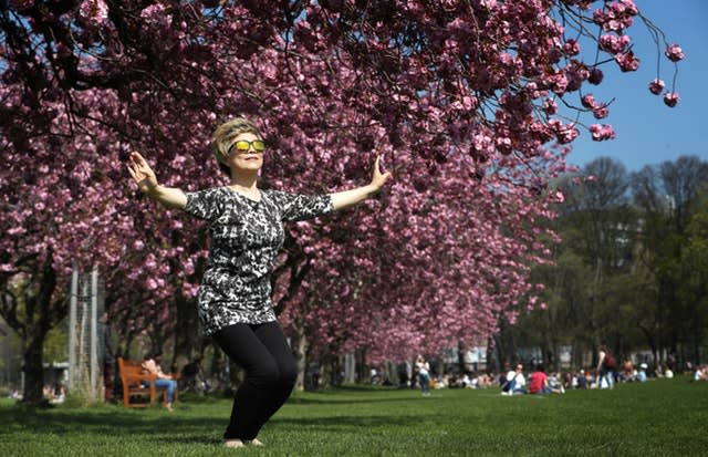 Sunny Yant, from Morningside, practices her Tai-chi underneath the cherry blossom in The Meadows, Edinburgh 