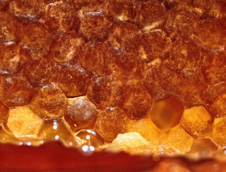 Bee Barf Apiaries displays honeycomb during the Palm Beach Synagogue Rosh Hashanah Royal Extravaganza Sunday September 10, 2023 in Palm Beach. It is traditional to eat apples and honey on the holiday for a sweet new year. 