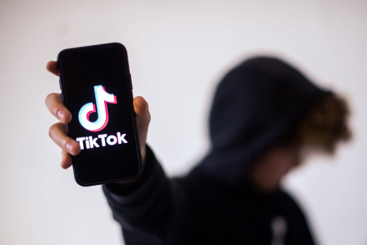 While TikTok narrowly avoided an outright ban under former US president Donald Trump, it is facing growing pressure to prove its security credentials (Loic Vanance / AFP via Getty Images)