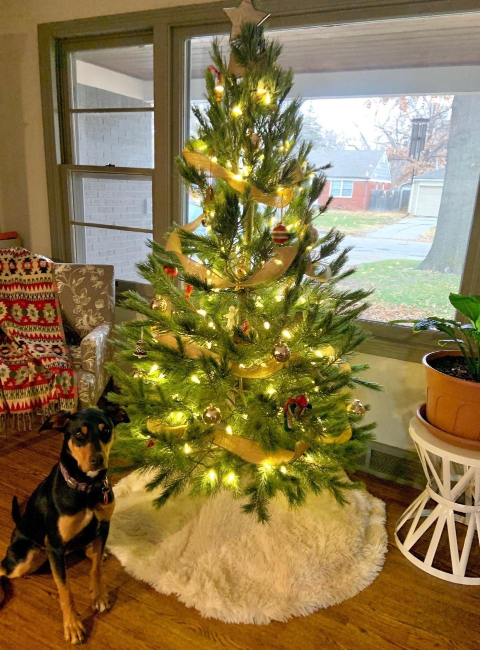 Live Christmas trees aren’t perfect, but they have lots of character!