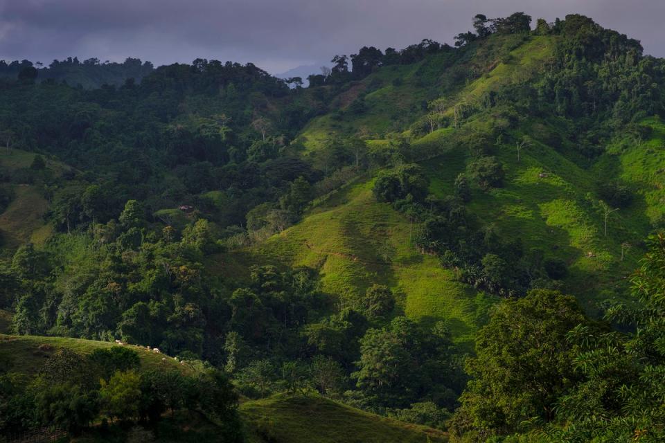 Tourism has replaced narco-trafficking in the Sierra Nevada (Alex Robinson)