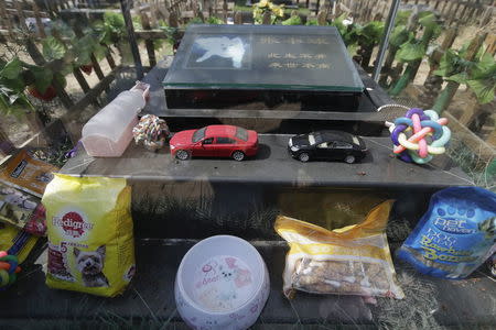 Toy cars, water and food are left around the tomb of pet dog Zhang Xiaoqiu at Baifu pet cemetery ahead of the Qingming Festival on the out skirts of Beijing, China March 26, 2016. REUTERS/Jason Lee