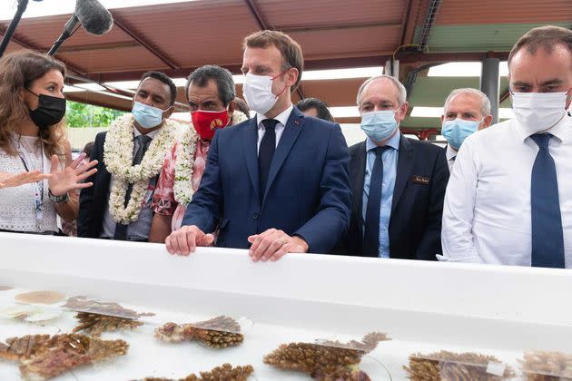 <p>Emmanuel Macron a visité le Centre de recherches insulaires et observatoire de l'environnement (Criobe) à Moorea.</p>