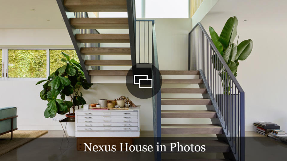 nexus house venice