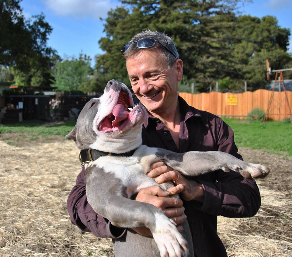 This open letter to a pit bull’s former owner is making us happy-cry