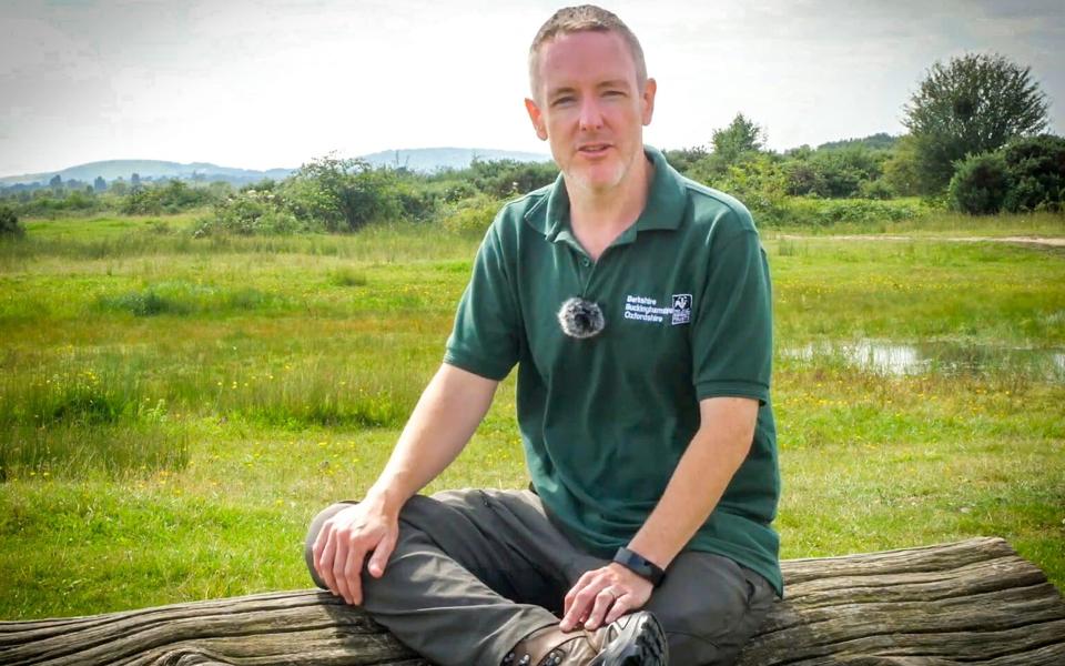 Roger Stace says he has evidence of many mushrooms being picked but left lying on the ground when foragers realise they are poisonous - HNP Newsdesk/Hyde News & Pictures Ltd