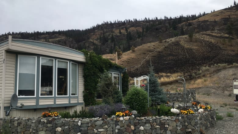 'Happiness, it's all fine:' B.C. residents rejoice after wildfire close call