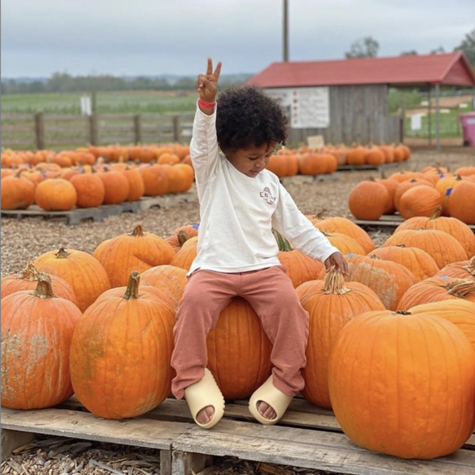 1) Southern Belle Farm, Georgia