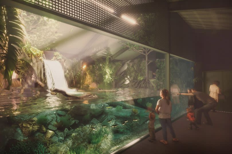 Artist impression of the new Central African Forest habitat at its Bristol Zoo Project site.