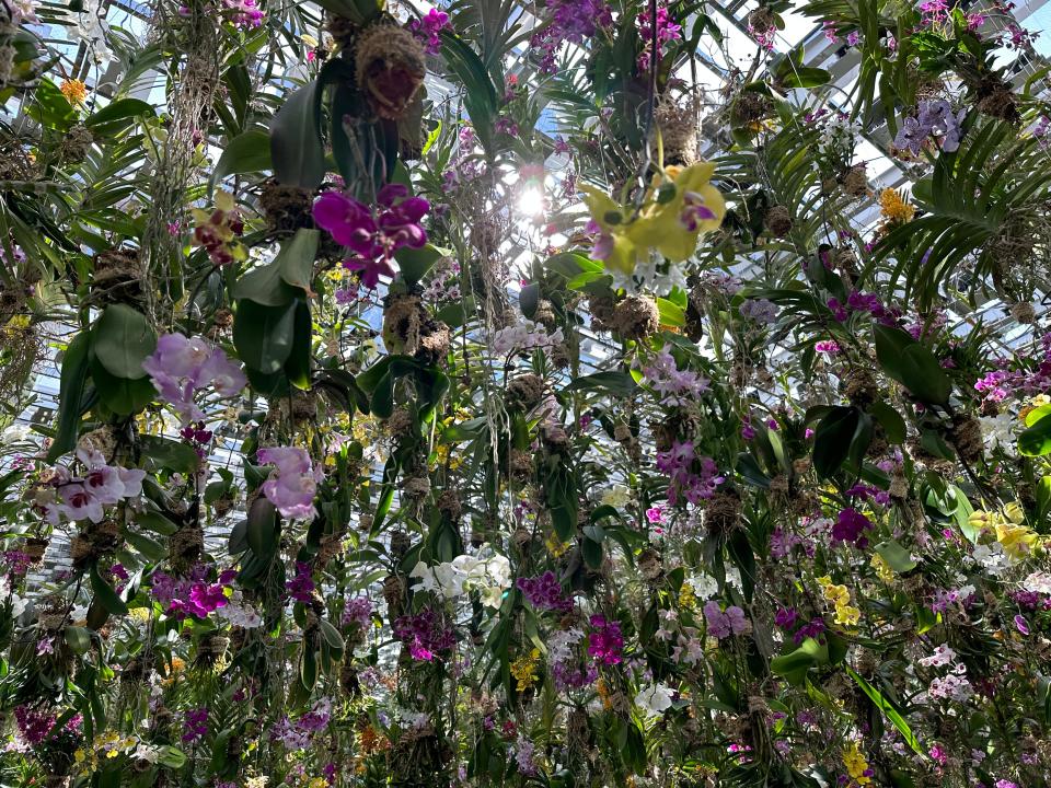 flowers hanging from ceiling