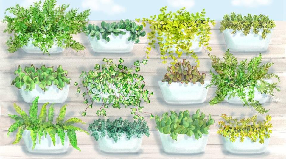 Four garden plans that you—yes, you, with the thumb of any color—can plant this spring to get the greenery you want, without having to dig up your whole yard.