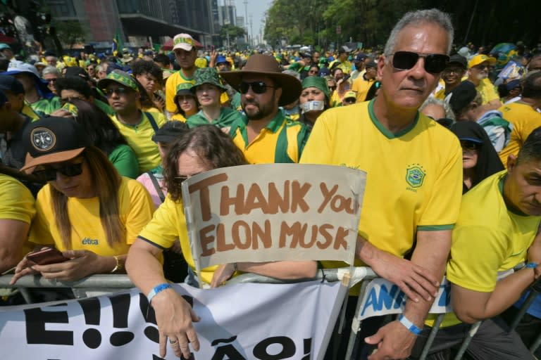 Supporters of former Brazilian President Jair Bolsonaro (2019-2022) hold a sign thanking X social media platform owner Elon Musk, during an Independence day rally in Sao Paulo, Brazil on September 7, 2024 (NELSON ALMEIDA)