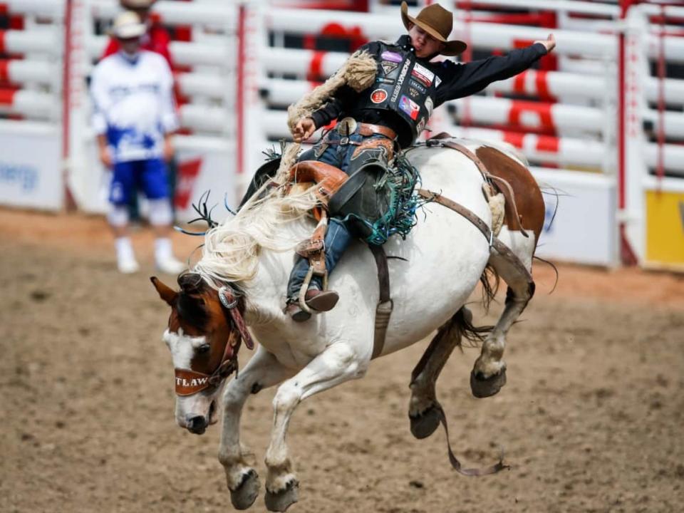 Saddle bronc, pictured at the Calgary Stampede, will be one of the four main events at the Valley West Stampede. (Jeff McIntosh/The Canadian Press - image credit)