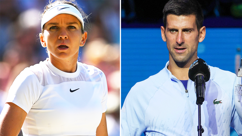 Simona Halep (pictured left) looks on during her Wimbledon match and (pictured right) Novak Djokovic talks after the final.