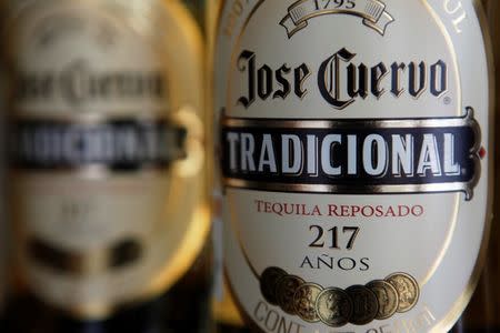 Bottles of Jose Cuervo Tequila rest on a shelf in Mexico City December 11, 2012. Diageo has pulled out of talks to buy a stake in top-selling tequila brand Jose Cuervo in a surprise move that fuelled speculation that the world's biggest spirits maker could now set its sights on smaller rival Beam Inc. REUTERS/Edgard Garrido (MEXICO - Tags: FOOD BUSINESS) - RTR3BGRP